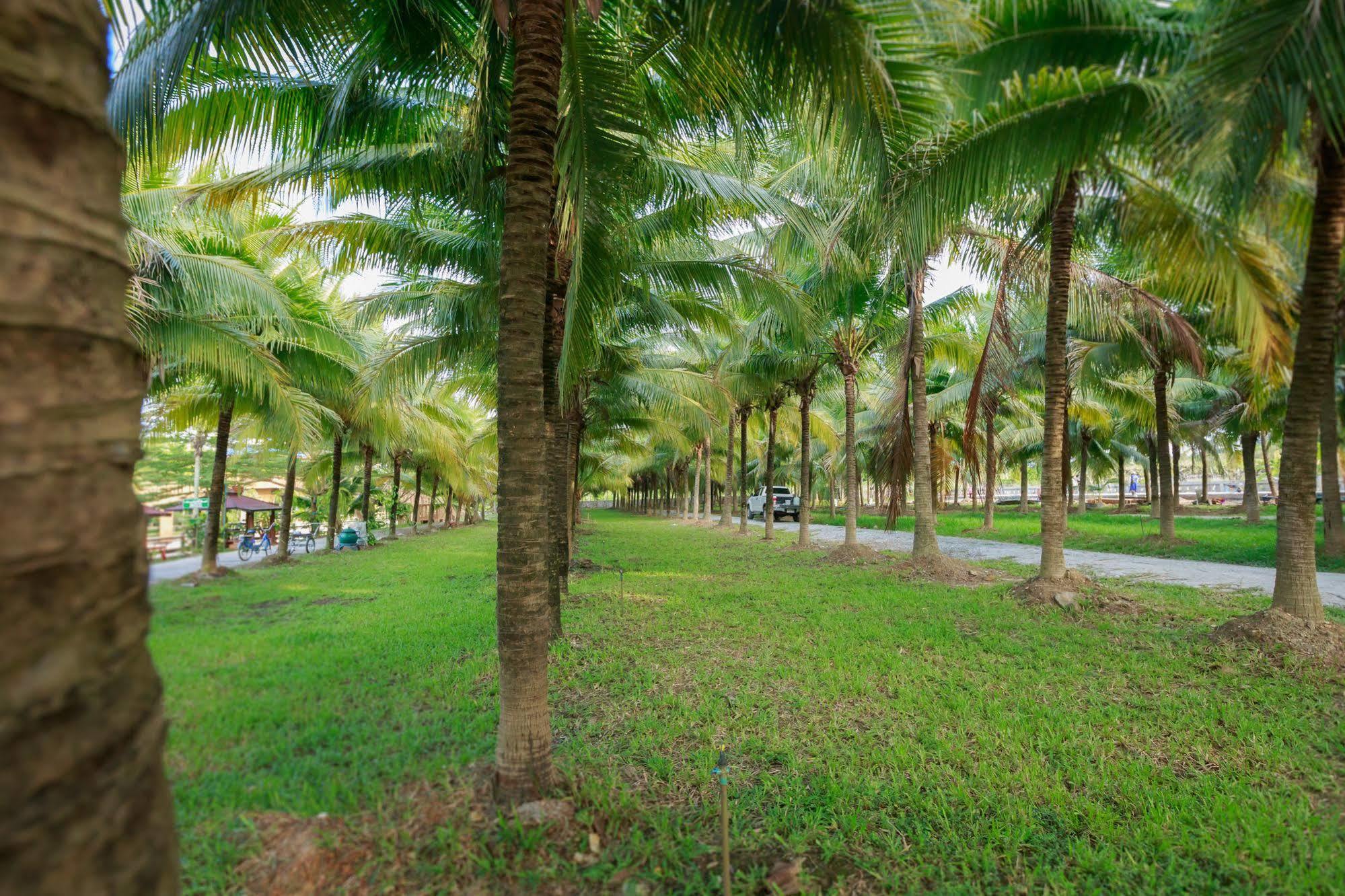 Coconut Resort Rayong Exteriör bild